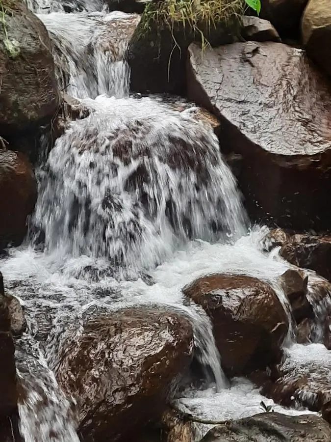 Feriehus Kurinjiyil Farmstay Munnar